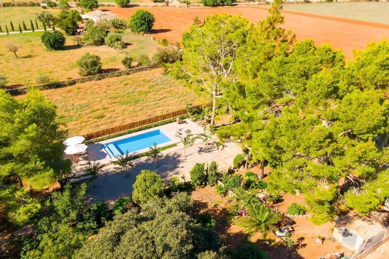 Can Davero Binissalem Spain