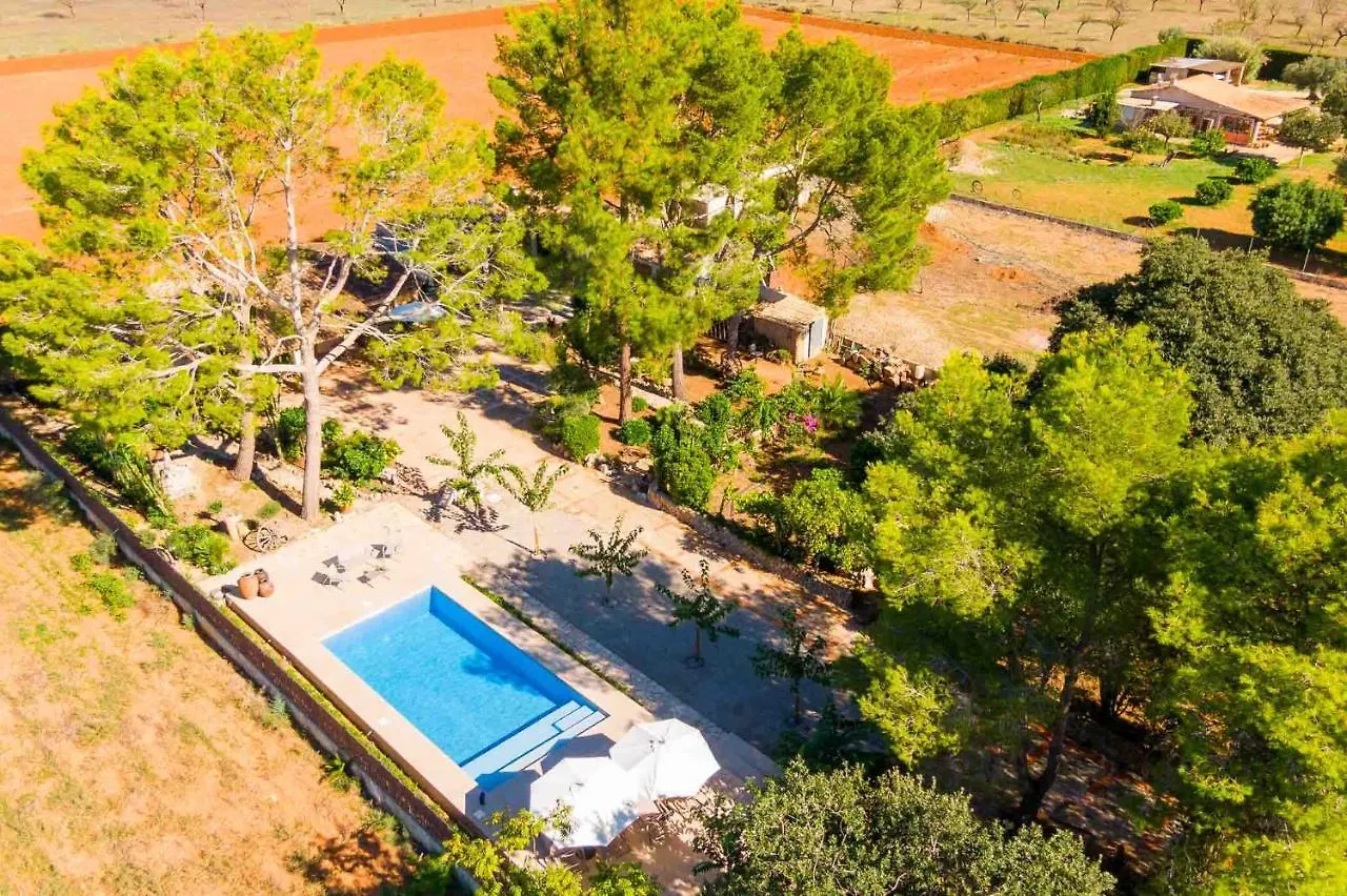 Can Davero Binissalem Holiday home