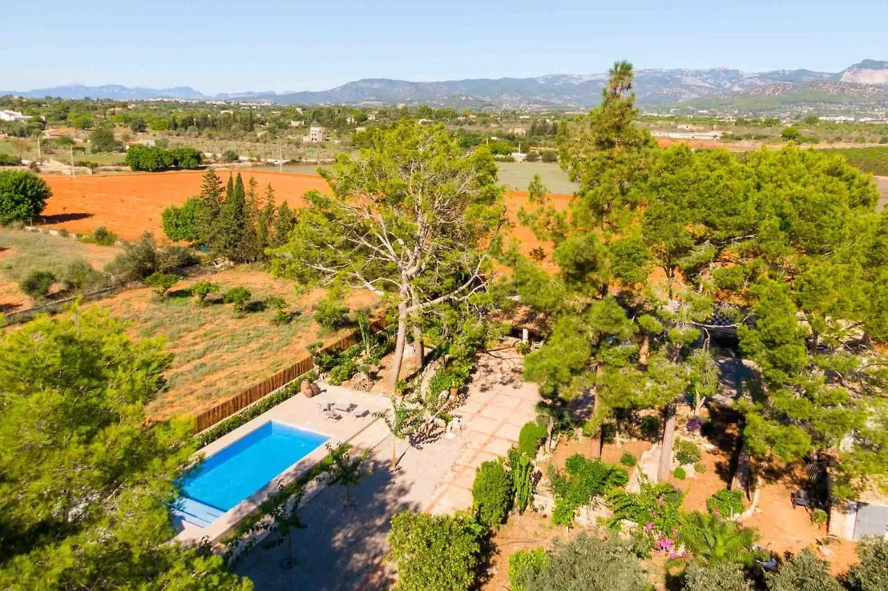 Holiday home Can Davero Binissalem
